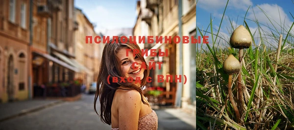 экстази Алексеевка