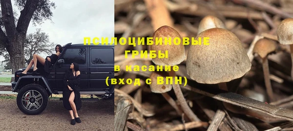 Альфа ПВП Алексин