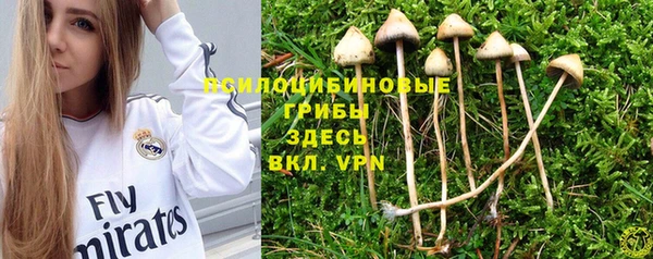 Альфа ПВП Алексин