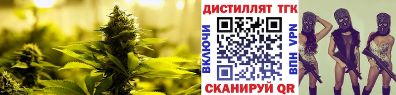 ТГК THC oil Грязовец