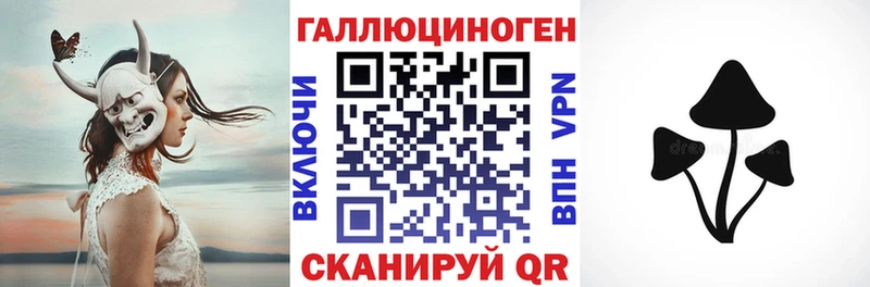 гидра зеркало  Грязовец  Псилоцибиновые грибы Cubensis 